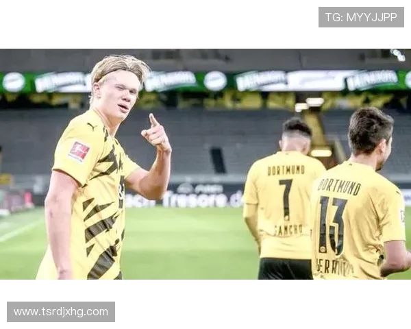 哈兰德加盟德甲球队的影响与表现分析